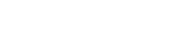 GARUDA TRANS INDONESIA
